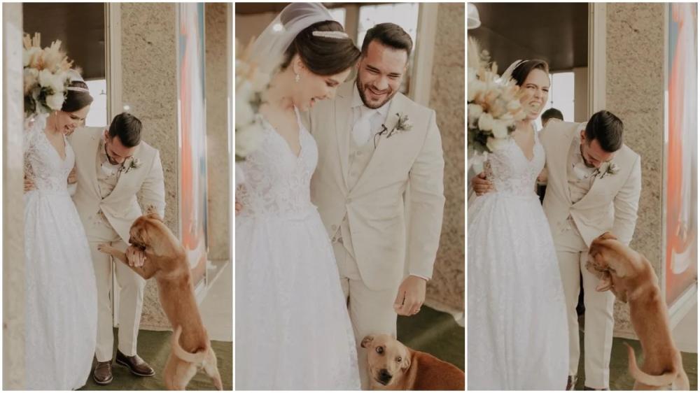 Cachorrinho vai em cerimônia de casamento, encanta noivos e consegue um lar