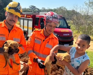 Bombeiros resgatam filhotes de cães que caíram em poço