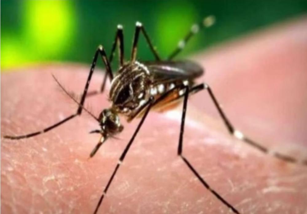 Urgente - Secretário de Saúde de Minas confirma uma morte por chikungunya em Sete Lagoas 