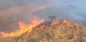 Fogo destrói vegetação perto do Topo do Mundo (Abrace a Serra / Divulgação)