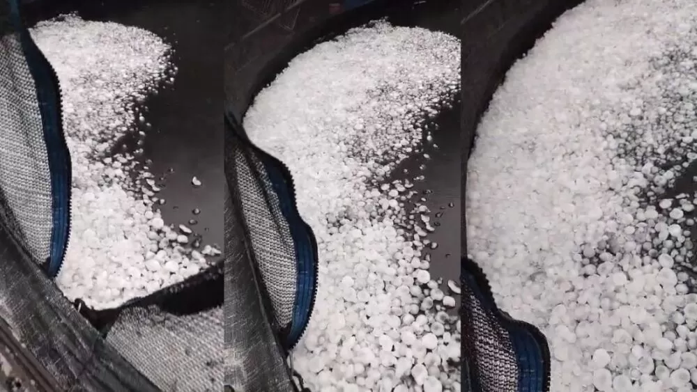 Cama elástica fica coberta de gelo na Pampulha em BH