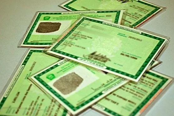 Polícia encontra identidades falsas e munições em casa no bairro Santa Maria, em Sete Lagoas