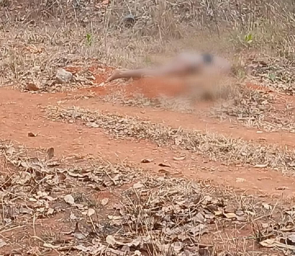 URGENTE: Suspeito de homicídio de garota de programa em Sete Lagoas é preso em seu local de trabalho
