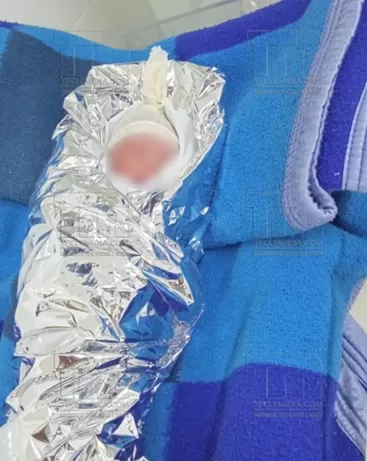 Bebê recém-nascido é encontrado abandonado em mata em Jaboticatubas