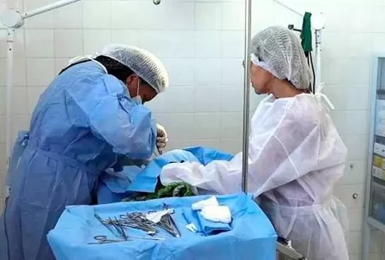 Castramóvel oferece castração gratuita de cães e gatos no bairro Estiva até quarta-feira em Sete Lagoas