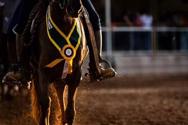 Haras Bento Velho representa Cordisburgo na 43ª Exposição Nacional do Cavalo Mangalarga Marchador