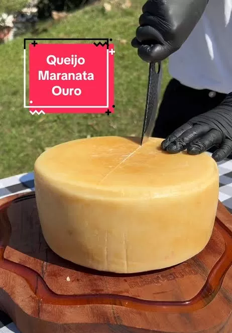 Queijo da Mantiqueira de Minas conquista Super Ouro e é eleito o melhor da ExpoQueijo Brasil 2026
