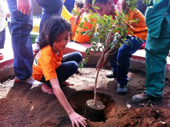 Arborização de espaços públicos em BH (Foto: Gercom Nordeste/PBH)