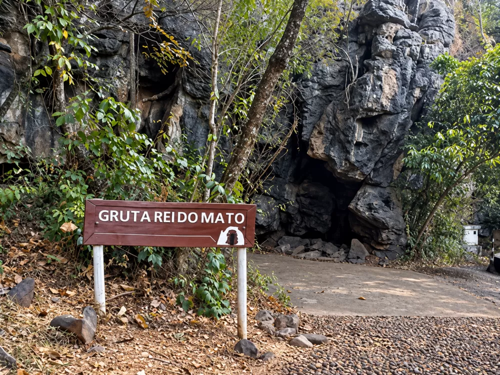 FPT Industrial promove sexta edição de ação de coleta de plástico na Gruta Rei do Mato